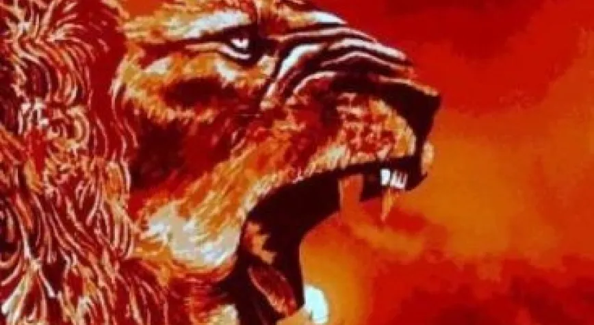 ASLAN KUPADA BİR BAŞKA OYNUYOR!