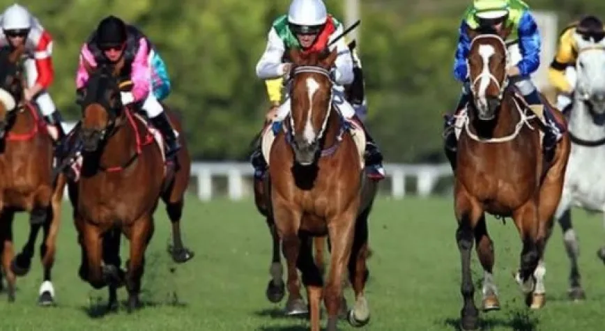 AT YARIŞLARININ AKIBETİ NE OLACAK?