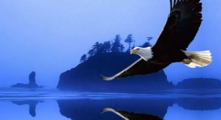 BEŞİKTAŞ GALİBİYETE DEVAM...