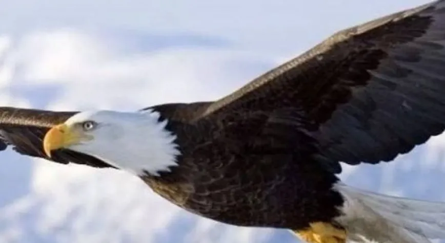 BEŞİKTAŞ'TAN MUHTEŞEM GALİBİYET!