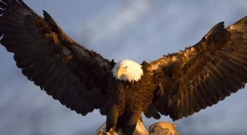 KARAKARTAL GİRESUN'DA ZORLANDI!