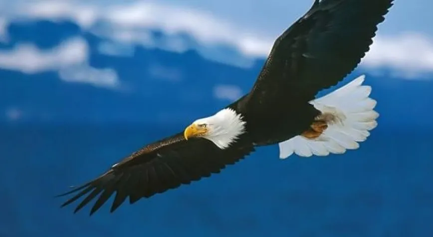 KARAKARTAL KADIKÖY'DE YÜKSEKTEN UÇTU...