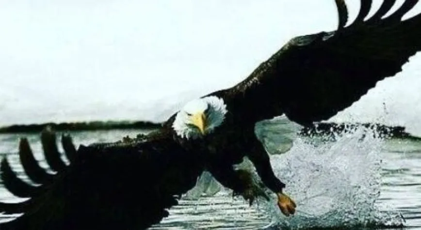 KARAKARTAL RİZE'DE İSTEDİĞİNİ ALDI...