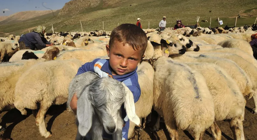 KARAMAN’IN KOYUNU’NUN OYUNU NEDEN SONRA ÇIKIYOR?