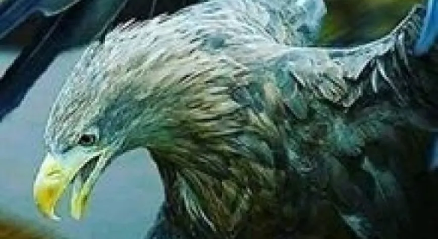 KARTAL HALA YÜKSEKLERDE UÇUYOR!..