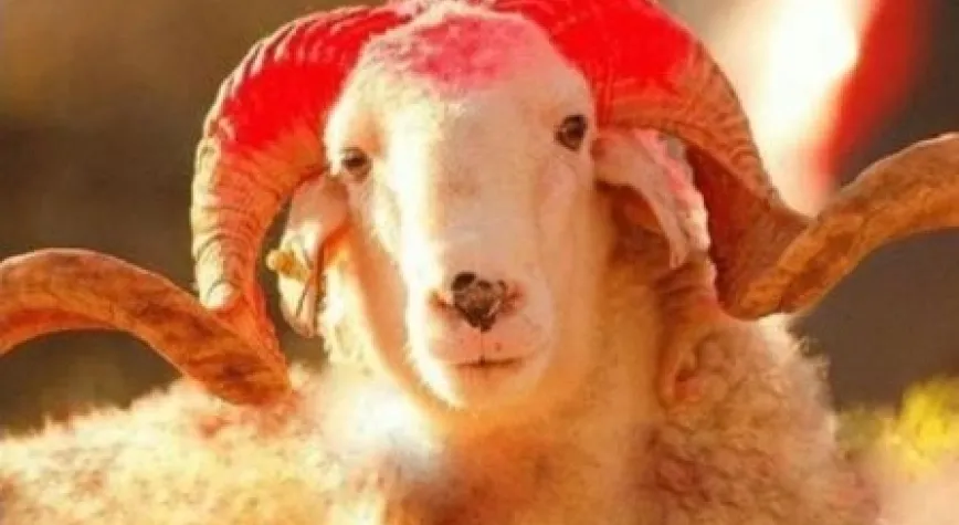 KURBAN BAYRAMINIZ KUTLU OLSUN!