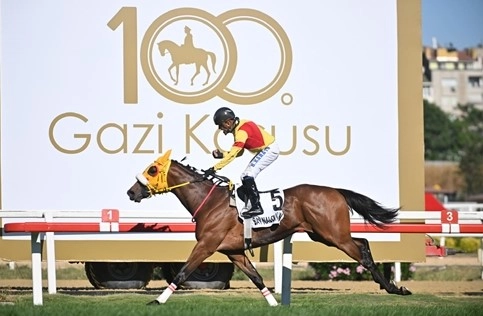 Benzer Haber